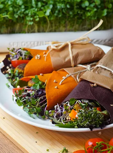 Anzuchtschalen im Microgreens Shop